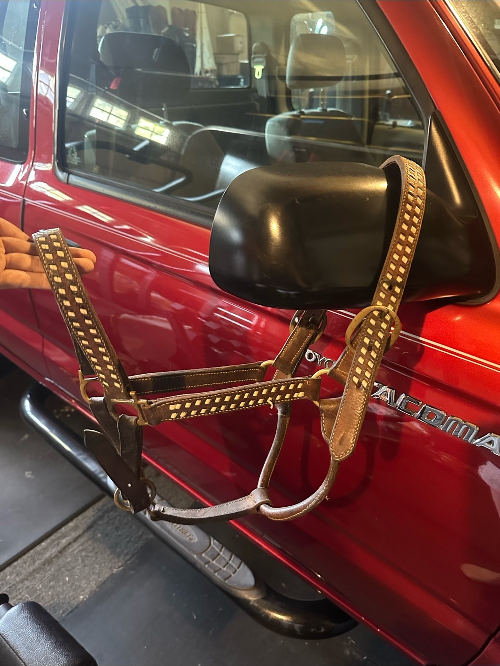Leather Horse Halter With Stitching